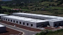 Imagem de Santander quer reverter venda da Azores Parque (Som)