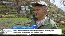 Mau tempo deixa estragos em algumas plantações (vídeo)