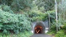 Imagem de Túnel Eng.º Duarte Pacheco vai encerrar por completo durante dez dias