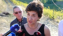 Imagem de Governo diz apoiar todos os agricultores e não interferir com autonomia das ilhas