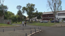 Imagem de Universidade dos Açores com menos procura (Vídeo)