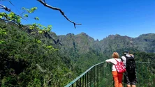 Imagem de Continentais continuam a chegar à Madeira (áudio)