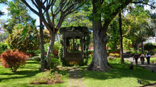 Imagem de Novo portal Cultura Madeira congrega informação sobre oferta no arquipélago