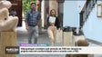 Imagem de Albuquerque diz que posição do PAN sobre o teleférico «está em conformidade com o acordo» (vídeo)