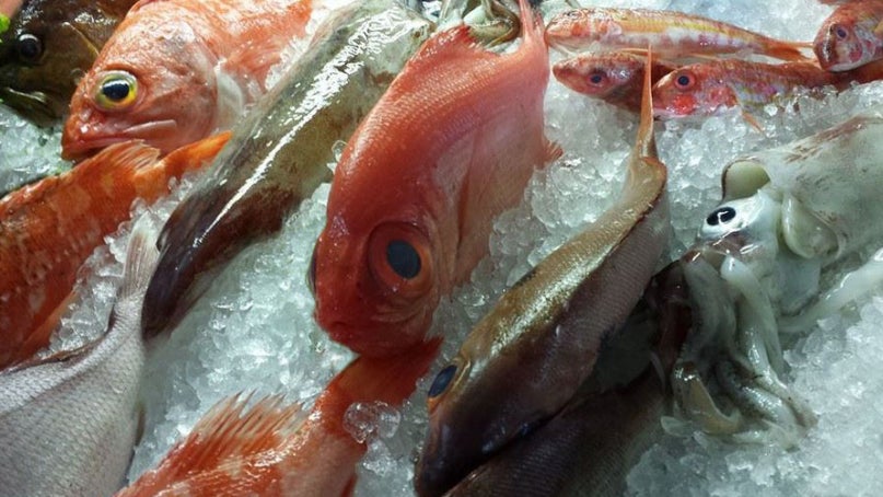 Imagem de Exportação de pescado