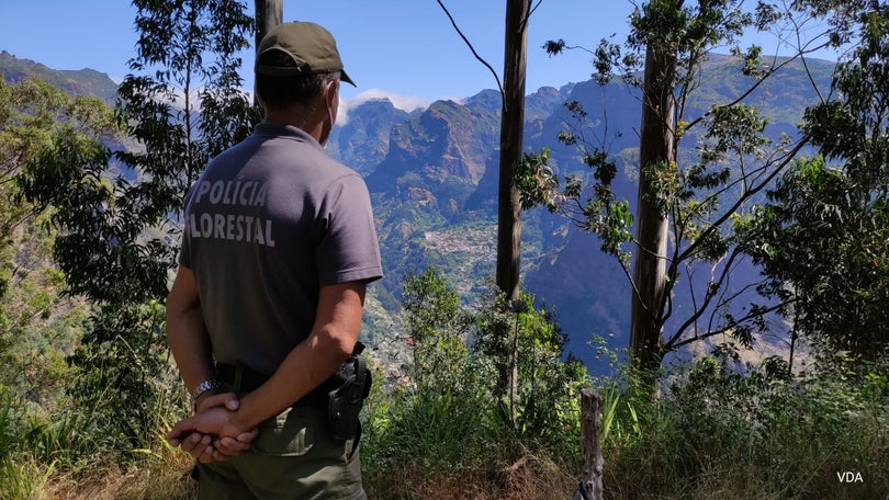 Polícia Florestal identifica indivíduo a fazer um churrasco em área florestal