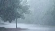 Madeira não vai ser muito afetada pela tempestade Paulette (Vídeo)
