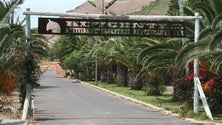 Imagem de Hasta pública do Centro Hípico do Porto Santo ficou deserta