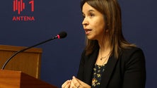 Imagem de PCP quer criar um Provedor dos Animais na Madeira