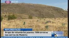 Voluntários plantam 1000 árvores nas serras da Madeira (Vídeo)