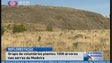 Imagem de Voluntários plantam 1000 árvores nas serras da Madeira (Vídeo)