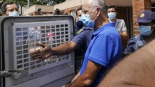Imagem de Rendeiro regressa a tribunal, adiamento em perspetiva
