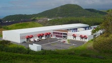 Imagem de Iniciativa Liberal pede mais investimento no matadouro de São Miguel (Vídeo)