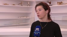Imagem de Museu de História Natural vai produzir conteúdos digitais (vídeo)