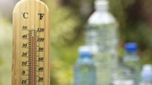 Imagem de DGS recomenda proteção contra temperaturas elevadas