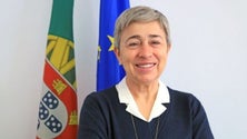 Imagem de Governo quer emigrantes a passarem Natal em Portugal