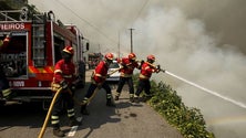 Imagem de Funchal investe 668 mil euros em viaturas de combate a incêndios