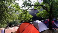 Imagem de Mais de 100 licenças de acampamento para o período do Rali Vinho Madeira