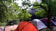 Imagem de Mais de 100 licenças de acampamento para o período do Rali Vinho Madeira
