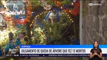 Imagem de Julgamento do caso da queda da árvore do Monte retomado pela 5.ª vez (vídeo)