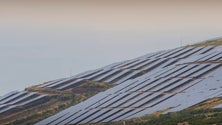 Imagem de Defensores do ambiente destacam importância do parque fotovoltaico do Caniçal (Vídeo)