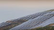 Imagem de Defensores do ambiente destacam importância do parque fotovoltaico do Caniçal (Vídeo)