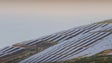 Defensores do ambiente destacam importância do parque fotovoltaico do Caniçal (Vídeo)