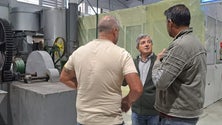Imagem de Fábrica do Ribeiro Sêco começou hoje a laboração (áudio)