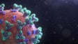 Imagem de Covid-19: Mais de 2,6 milhões de infetados e 183 mil mortos em todo o mundo