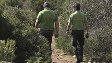 Imagem de Vigilantes da Natureza querem evitar a aprovação da proposta de carreira (Vídeo)