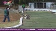 Imagem de Na nova época de automodelismo Vitor Sousa e Daniel Rodrigues venceram primeira prova na vertente Todo o Terreno