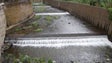 Imagem de Governo investe 200 mil euros na limpeza das ribeiras
