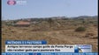 Governo cede terrenos na Ponta do Pargo para pastoreio (Vídeo)