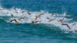 Vela e natação encerram o ano com provas nas águas do Funchal