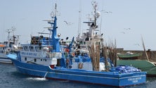 Imagem de Marinha resgata tripulante de embarcação de pesca a sul do Funchal