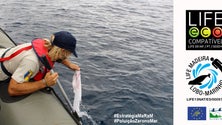 Imagem de Estratégia para a eliminação poluição no mar com resultados positivos na Madeira