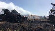 Imagem de Incêndio assusta população (vídeo)