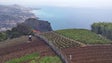 Covid-19: Madeira vai receber 5 milhões de euros de Bruxelas para apoiar a agricultura