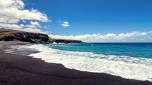 Imagem de Doutoramento em Ilhas Atlânticas traz especialistas à Madeira