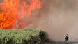 Imagem de Incêndio ativo entre o Rochão e Florenças, no Arco da Calheta (áudio)