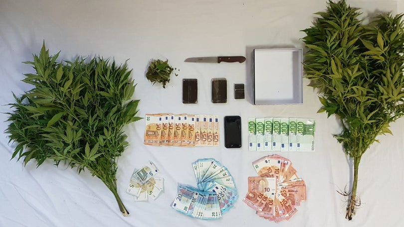 Imagem de PSP detém alegado traficante de droga na Ribeira Brava