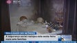 Imagem de Segurança Social realojou mais 7 famílias na sexta-feira (Vídeo)