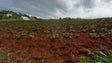 Europa reforça apoio agrícola (vídeo)