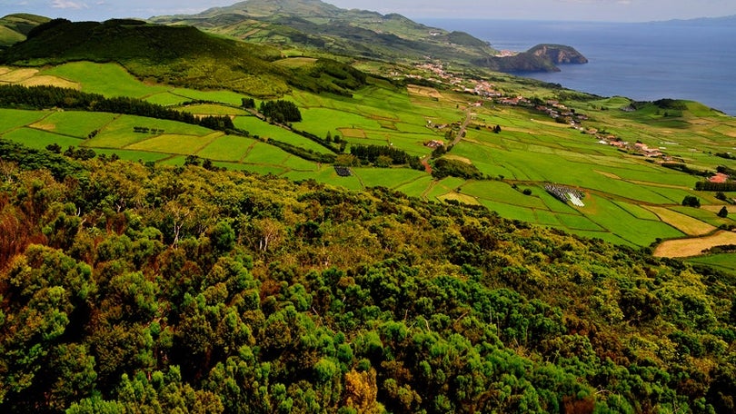 Investimento privado está a crescer nos Açores
