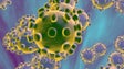 Autoridades de Saúde da Madeira vão reforçar a vigilância ao coronavírus (Vídeo)