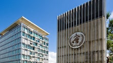 Imagem de Covid-19: OMS tem como “única preocupação” ajudar os países e “salvar vidas”