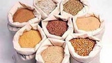 Imagem de Alimentação do gado debatida no Faial (Vídeo)