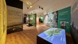 Imagem de Centro da Banana eleito Melhor Museu do Ano (fotos)