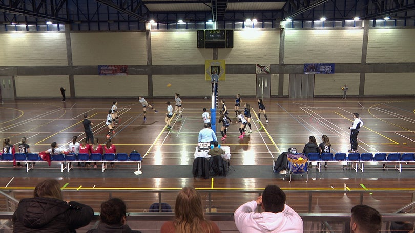 Voleibol Feminino