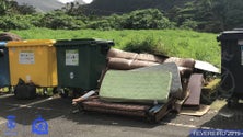 Imagem de Câmara de Machico apela à separação correta do lixo